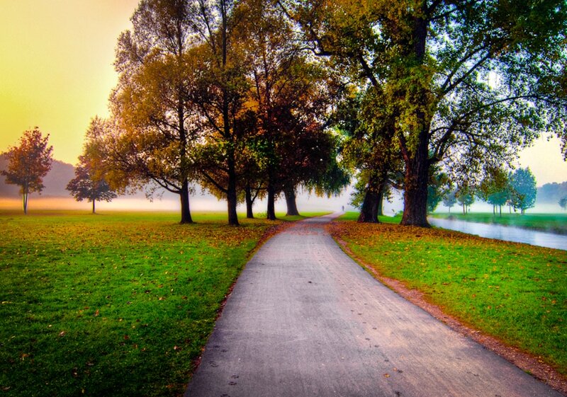 Path Through Autumn Park — Green