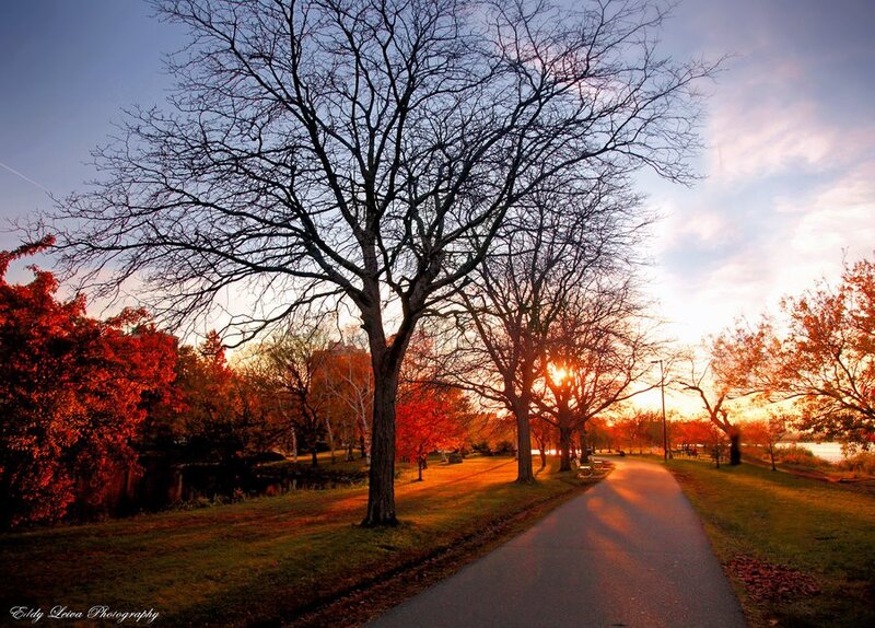 Path Through Autumn Park — Orange, Serene