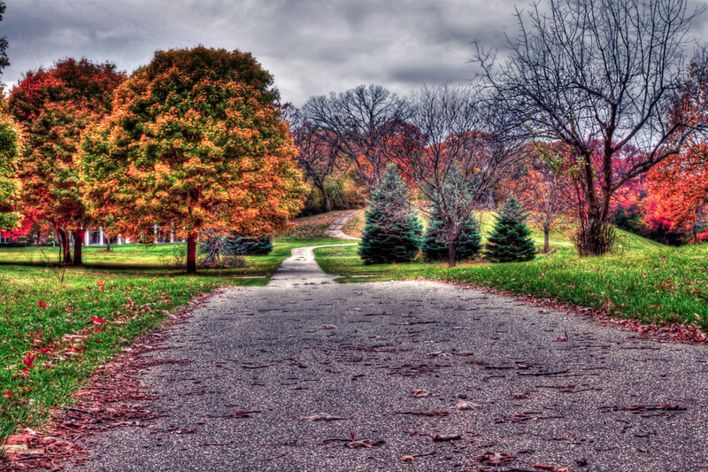 Path Through Autumn Park