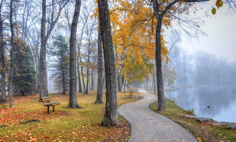 Path Through Autumn Park — Yellow, Serene