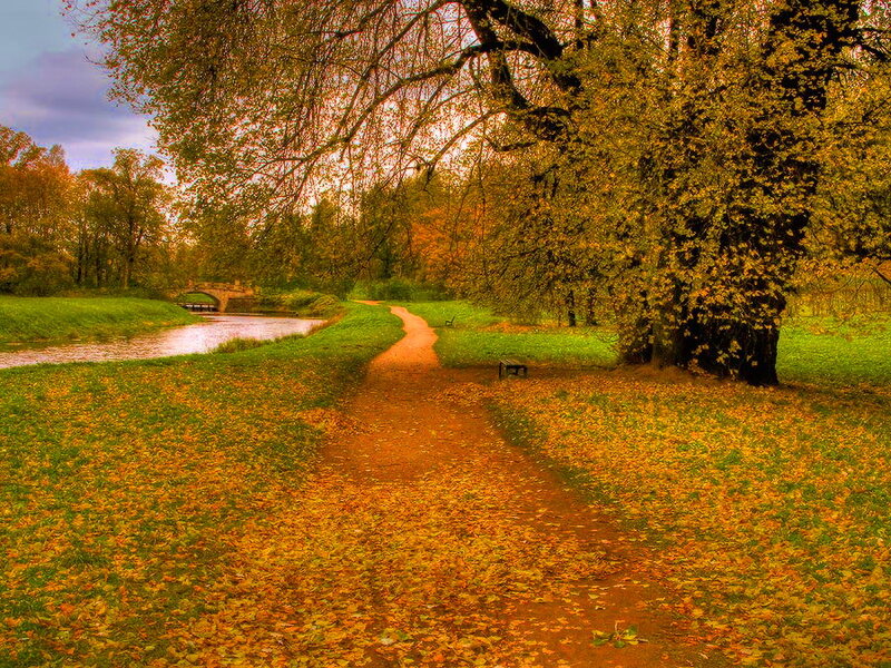 Path Through Autumn Park — Yellow