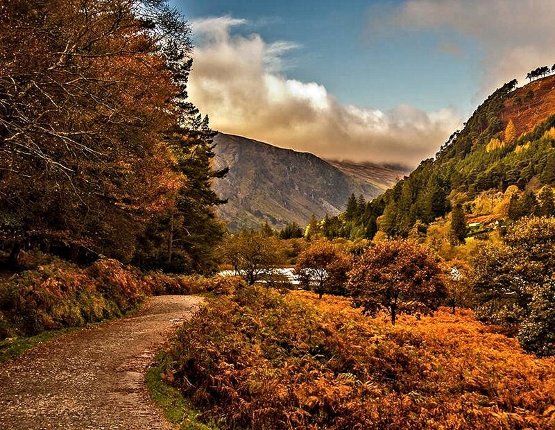 Path Through Autumn Valley