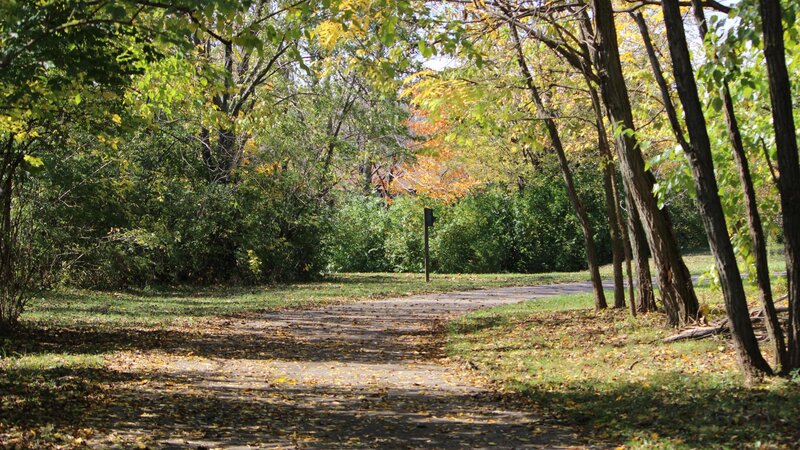 Path Through Autumn Woods — Green, Serene, Photograph