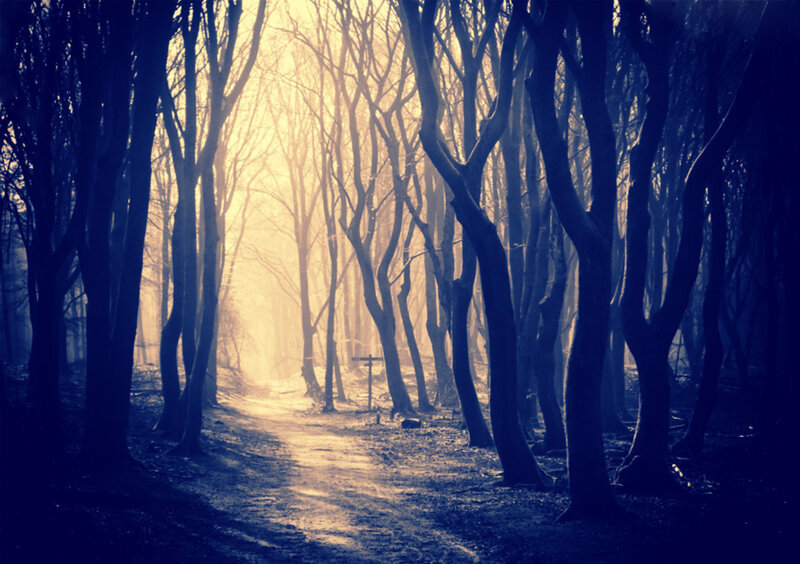 Path Through Bare Trees — Blue