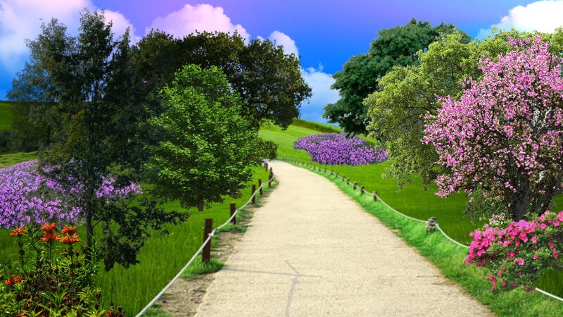 Path Through Blooming Fields