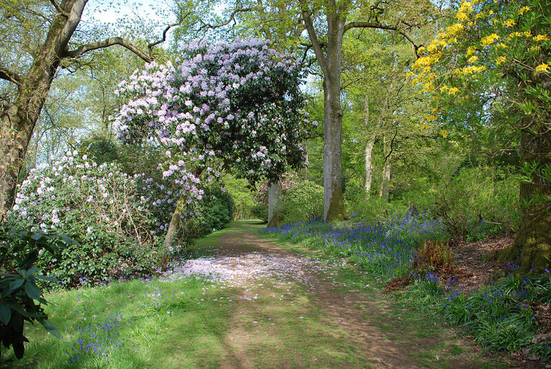 Path Through Blooming Garden — Green