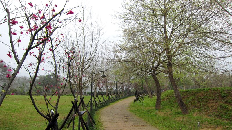 Path Through Blooming Trees — Green, Serene, Spring, Photograph, Grass