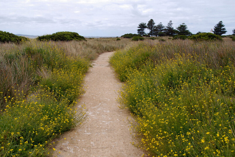 path through coastal dunes