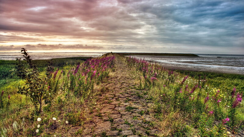 Path Through Coastal Marsh