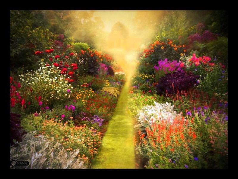 path through colorful garden