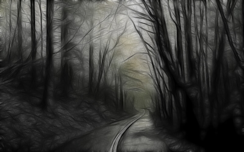 Path Through Dark Forest — Black
