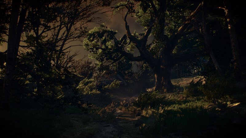 Path Through Dark Forest — Green
