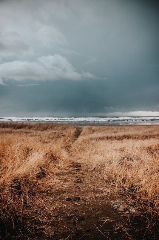 Path Through Dune Grass — Brown