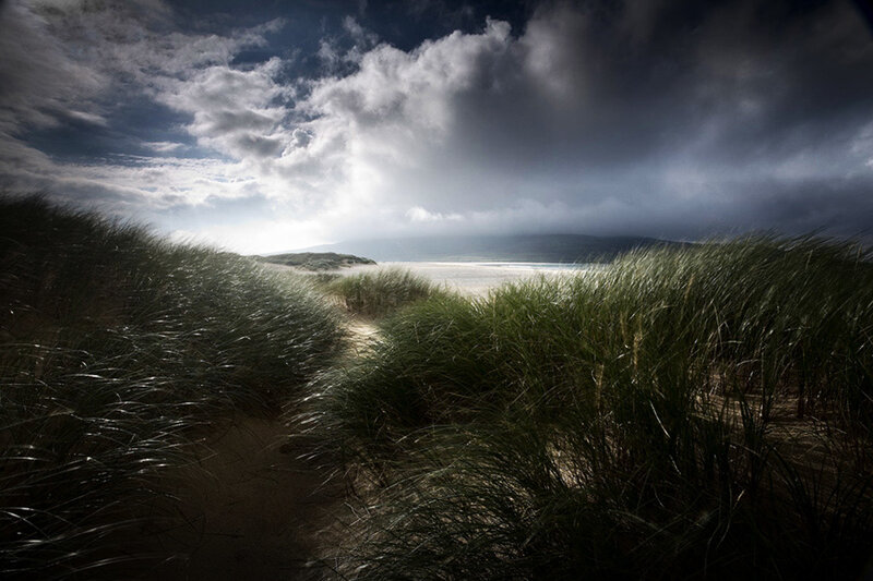 Path Through Dune Grass