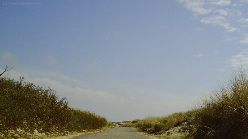 Path through dune grass under blue sky