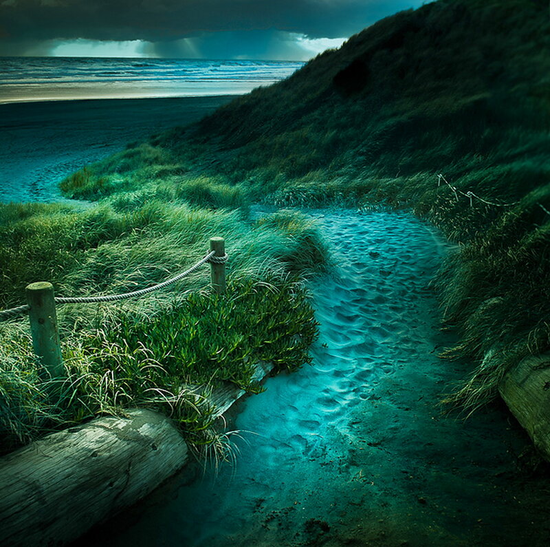 Path Through Dunes to Beach