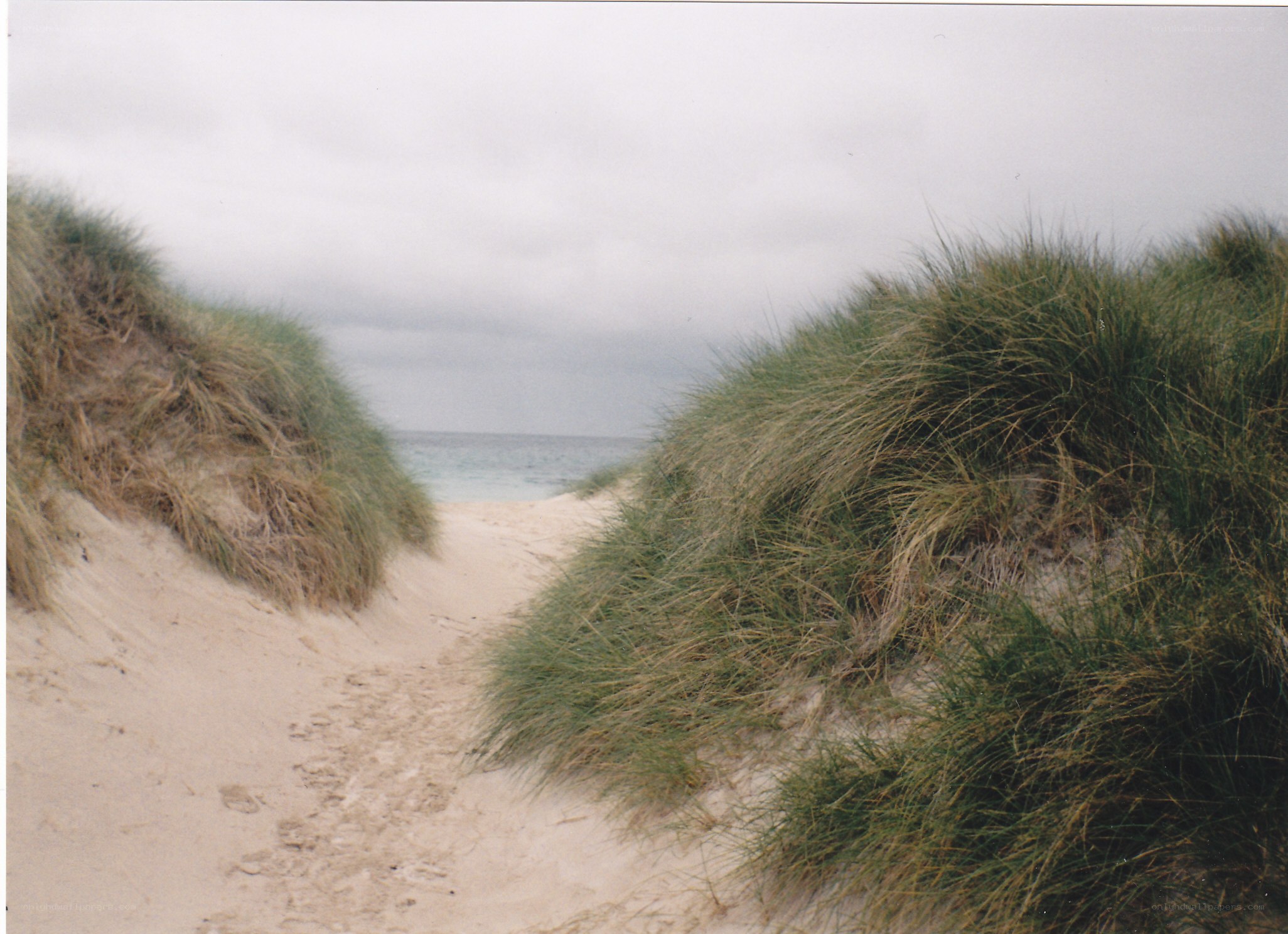 Path through dunes to the beach