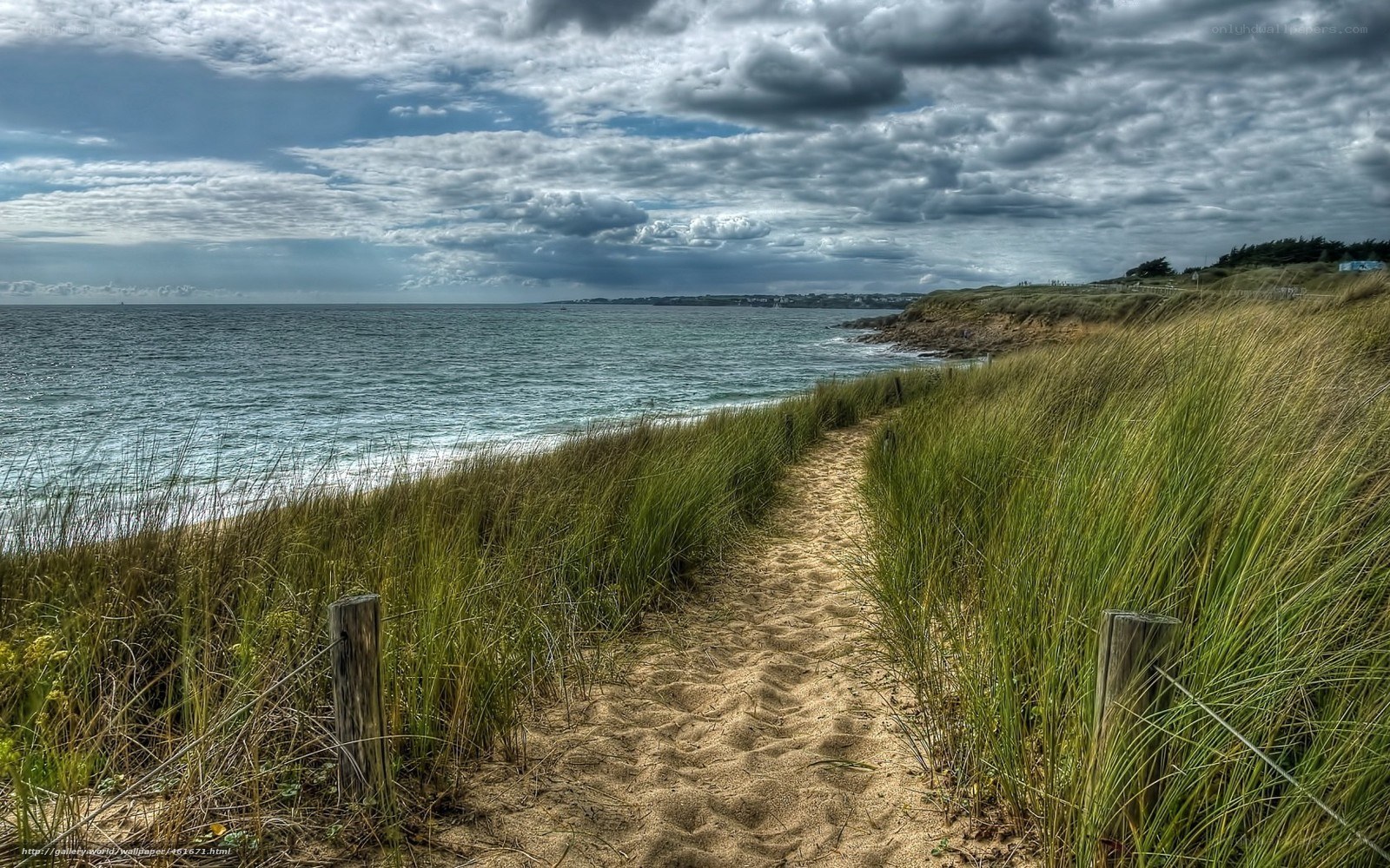Path through dunes to the sea