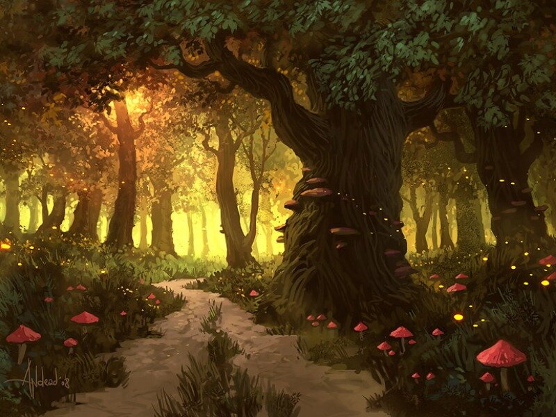 Path Through Enchanted Forest