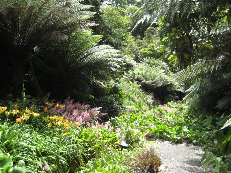 Path Through Fern Garden