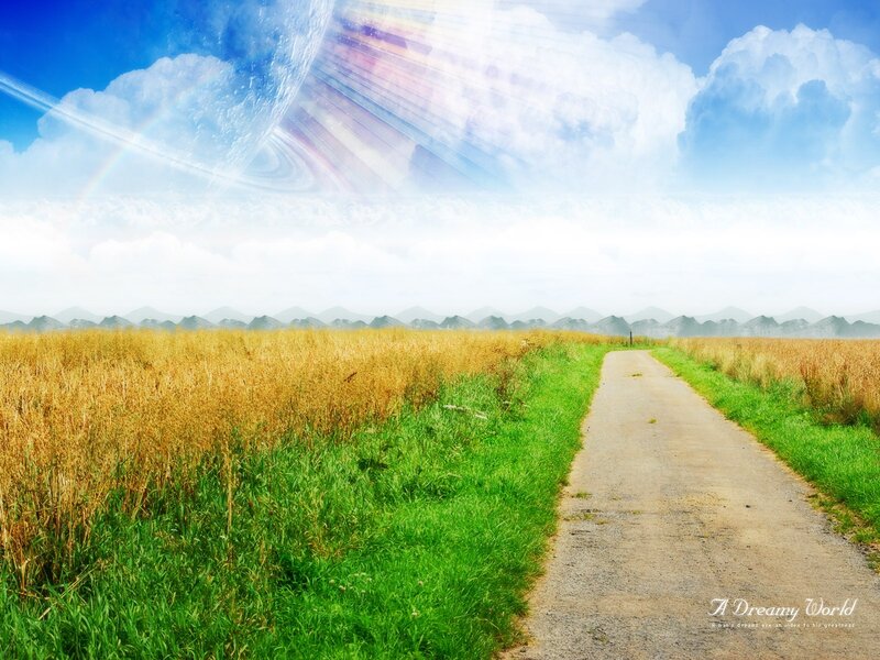 Path Through Field
