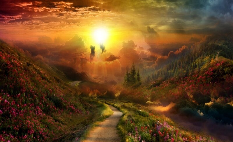 Path Through Flower-covered Hills — Orange, Dramatic