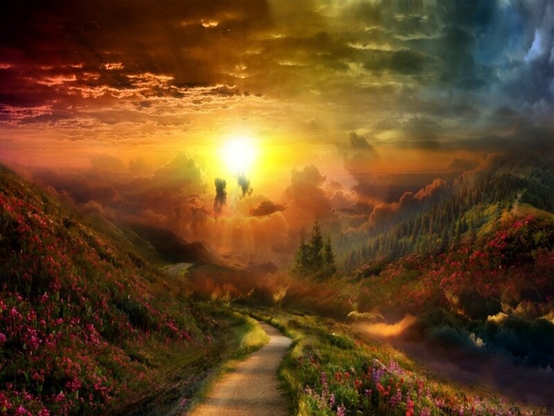Path Through Flower-covered Hills — Orange