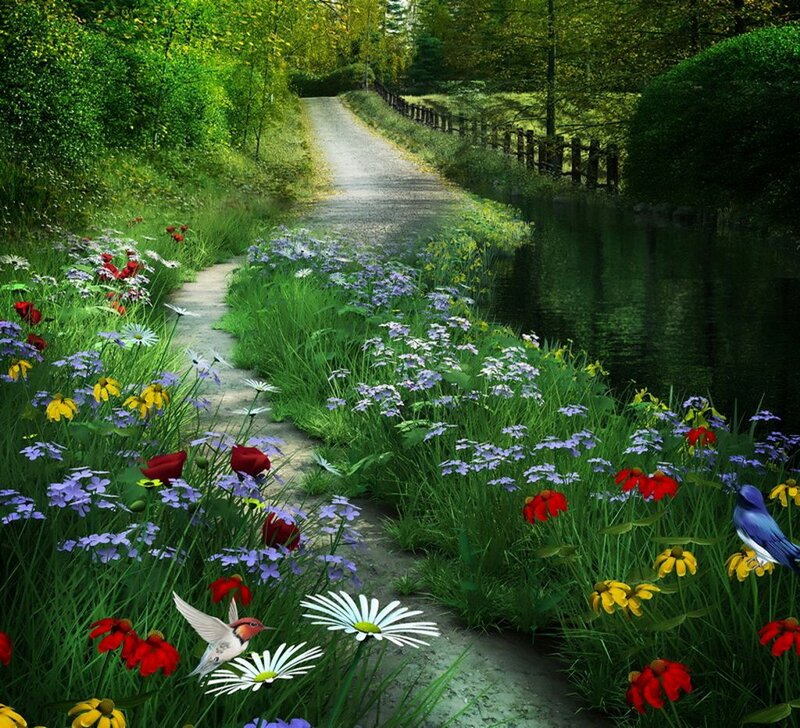 Path Through Flower Garden — Green, Serene, Afternoon