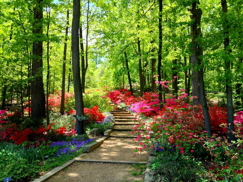 Path Through Flower Garden — Green, Serene, Spring