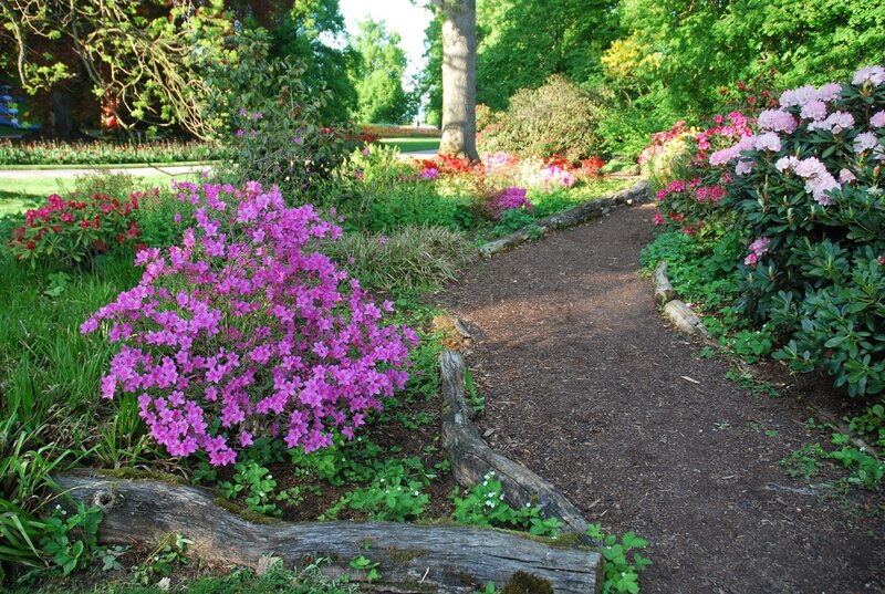 Path Through Flower Garden — Pink