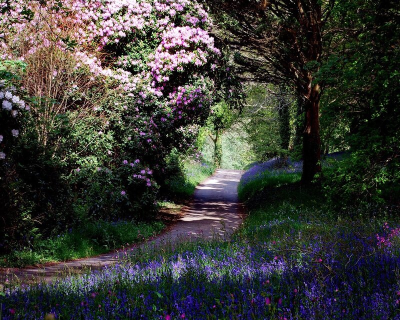 Path Through Flower Garden