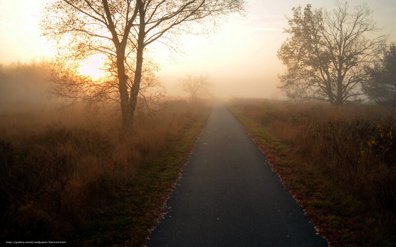 Path Through Foggy Field — Brown