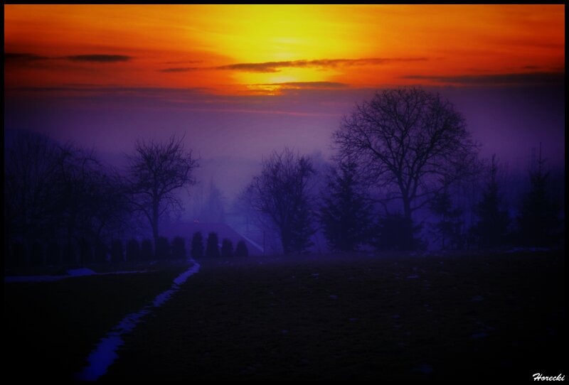 Path Through Foggy Field — Orange
