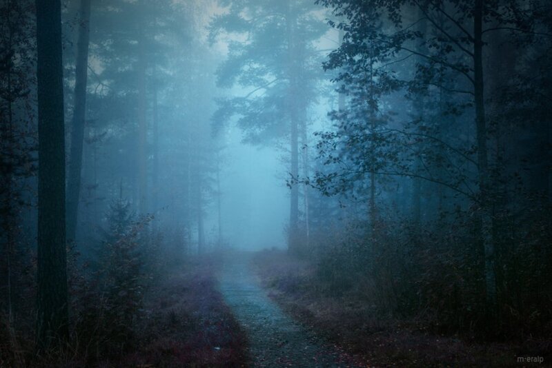 Path Through Foggy Forest — Blue, Mysterious, Night