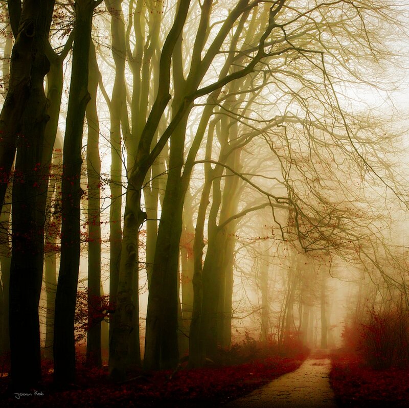 Path Through Foggy Forest — Green, Mysterious