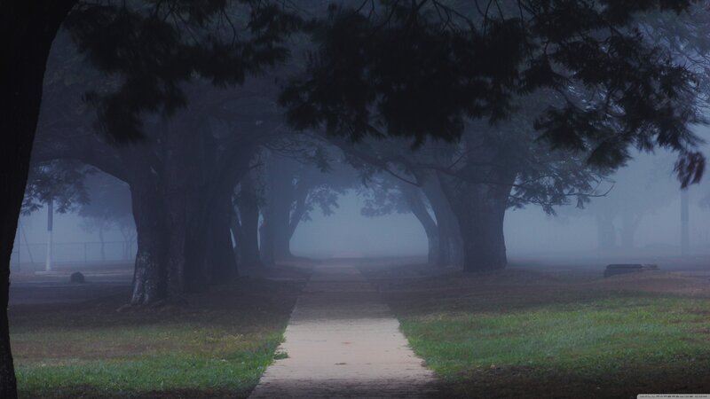 Path Through Foggy Park — Green