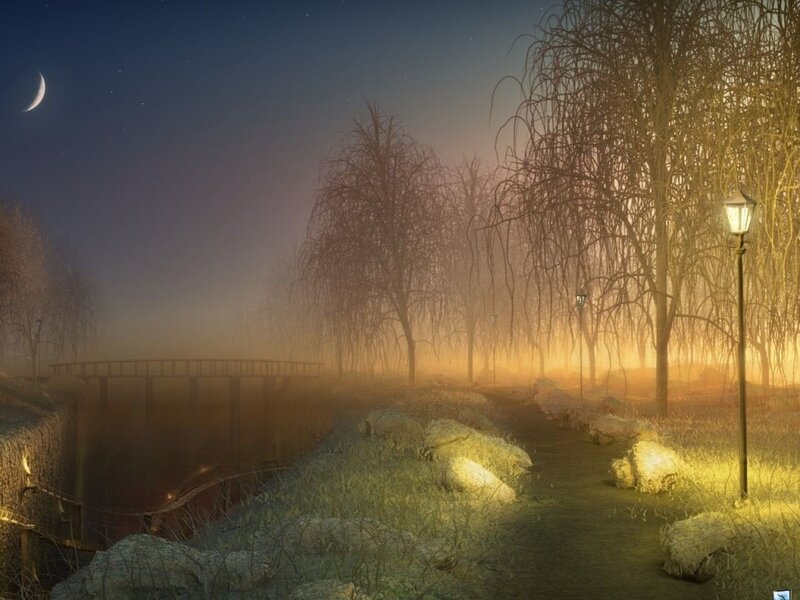 Path Through Foggy Park