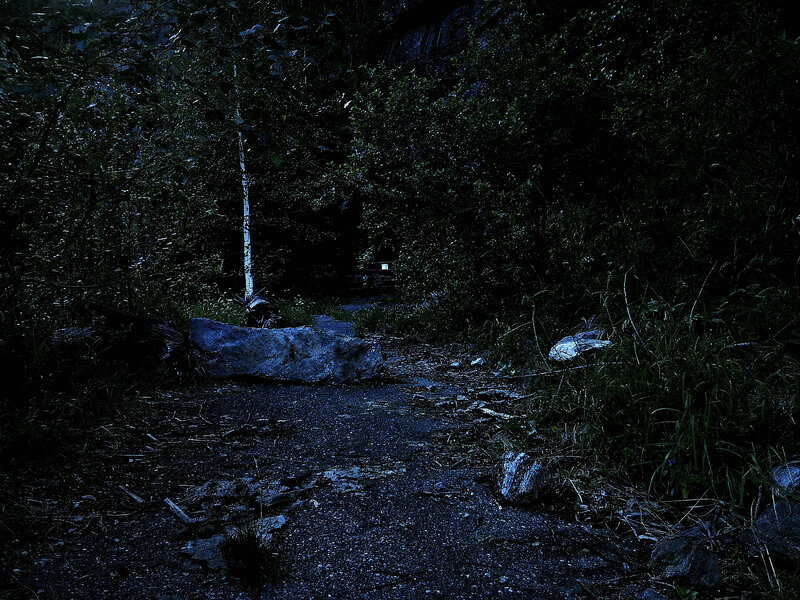 Path Through Forest at Night — Blue
