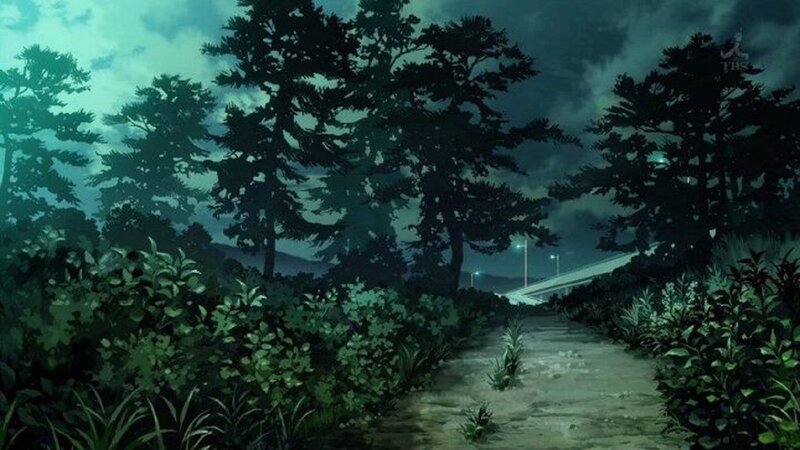 Path Through Forest at Night