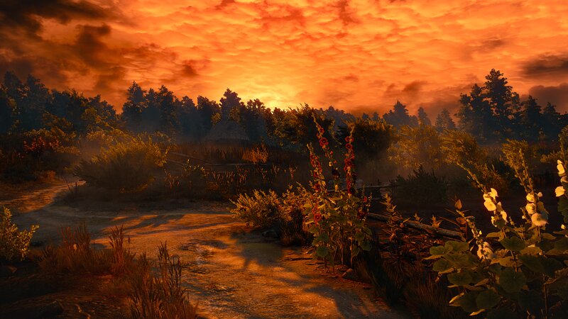 Path Through Forest at Sunset — Orange, Dramatic, 3d Render