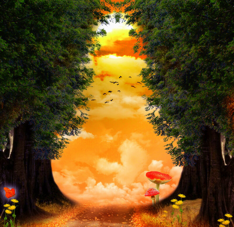 Path Through Forest at Sunset — Orange