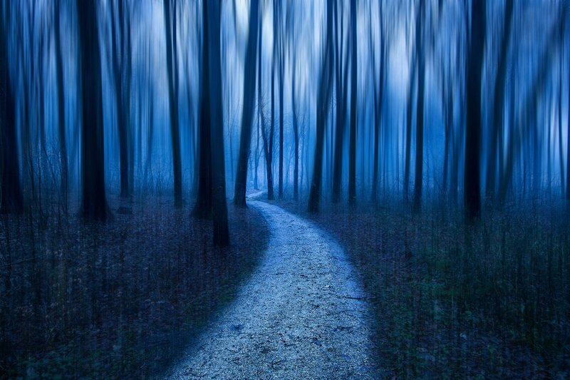 Path Through Forest — Blue, Mysterious, Night, Photograph, Trees