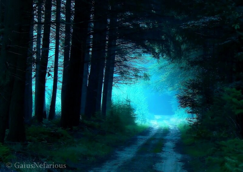 Path Through Forest — Blue, Mysterious, Night