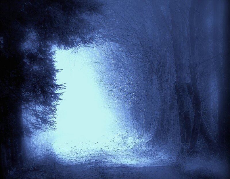 Path Through Forest — Blue, Mysterious