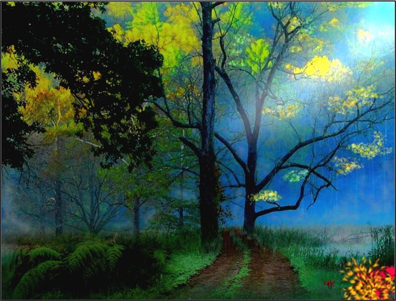 Path Through Forest — Blue, Serene, Night
