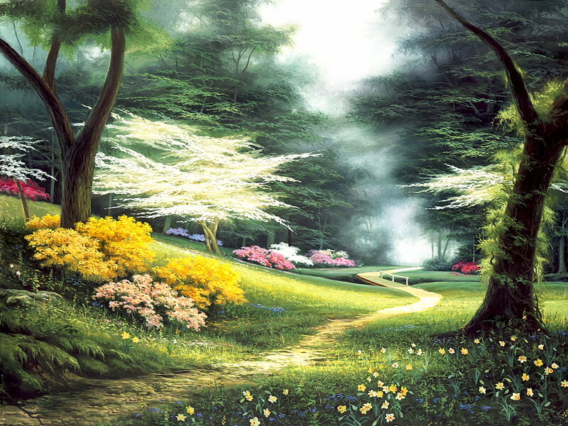 Path Through Forest Garden — Green, Serene, Morning