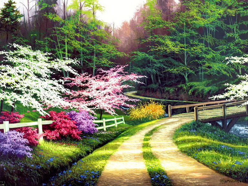 Path Through Forest Garden — Green, Serene, Spring