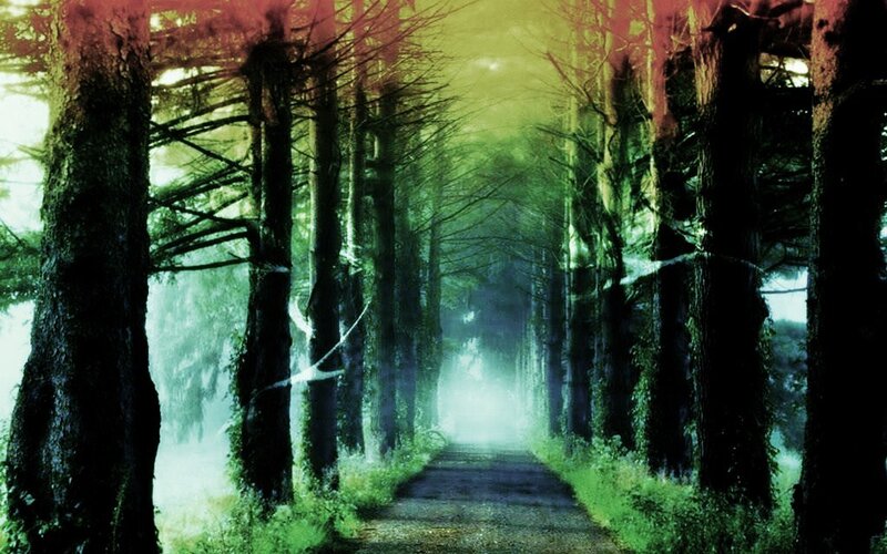 Path Through Forest — Green, Mysterious, Digital Art