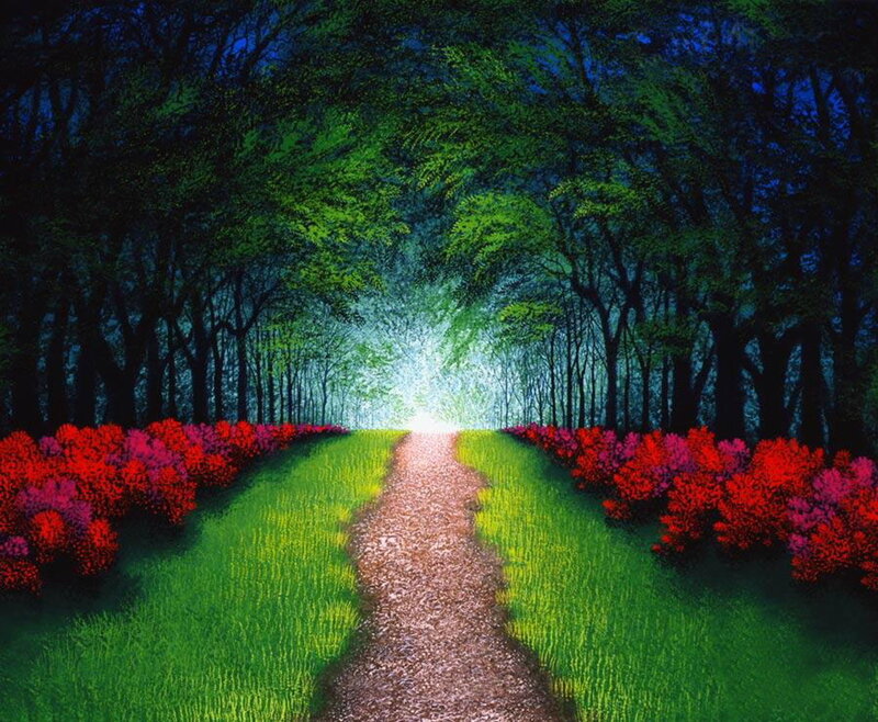 Path Through Forest — Green, Serene, Night