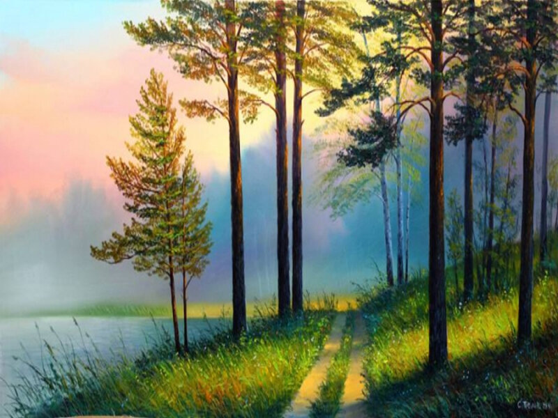 Path Through Forest — Green, Serene, Sunrise